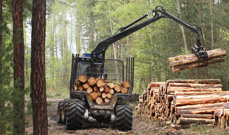 Precision CNC fabrication, structural forming and heavy components for forestry machinery at Genesisprairie